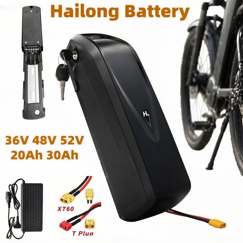 Ebike Battery 48V 20Ah Hailong - Batteria per E-bike Multi-Misura Modello Hailong,