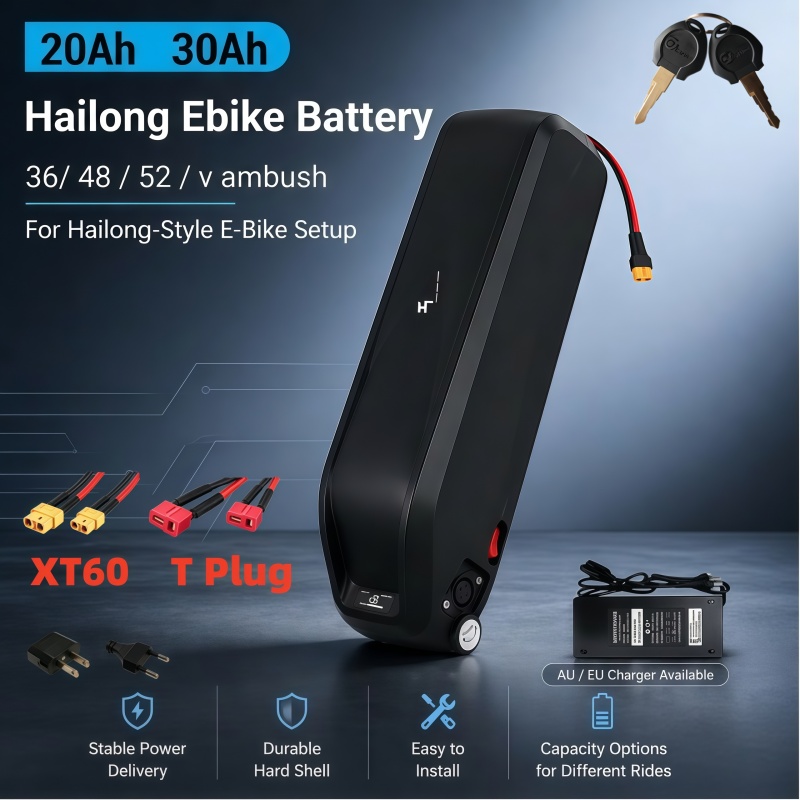 Ebike Battery 48V 20Ah Hailong - Batteria Hailong Versatile, Multitensione 36V 48V
