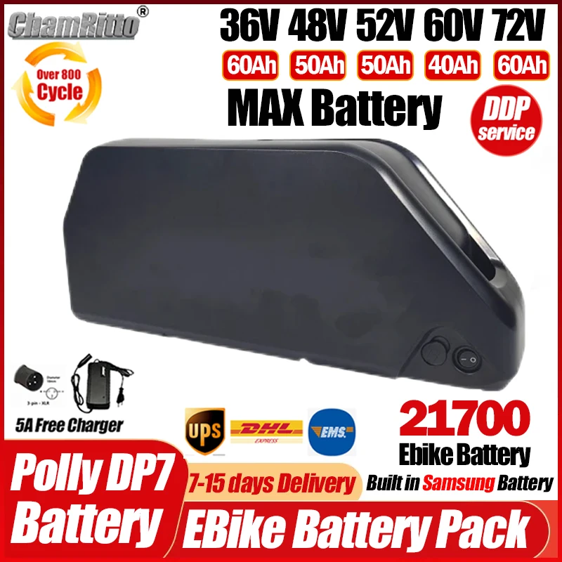 Ebike Battery 48V 20Ah Hailong - Batteria E-bike Hailong Polly DP7 per