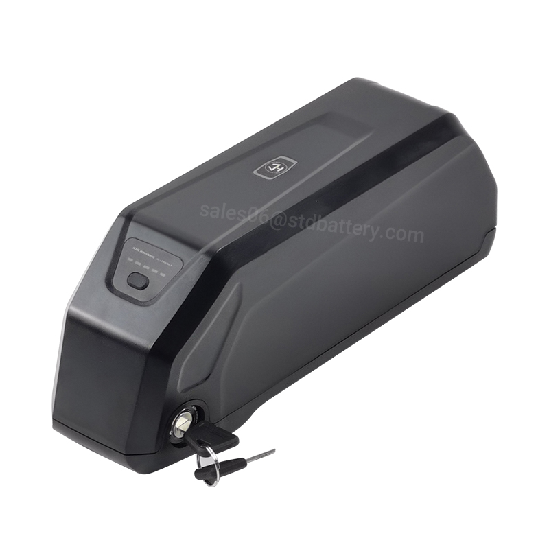 Batteria per Ebike Downtube 52 - Ebike Battery 48V 20Ah Hailong recensione e prezzo