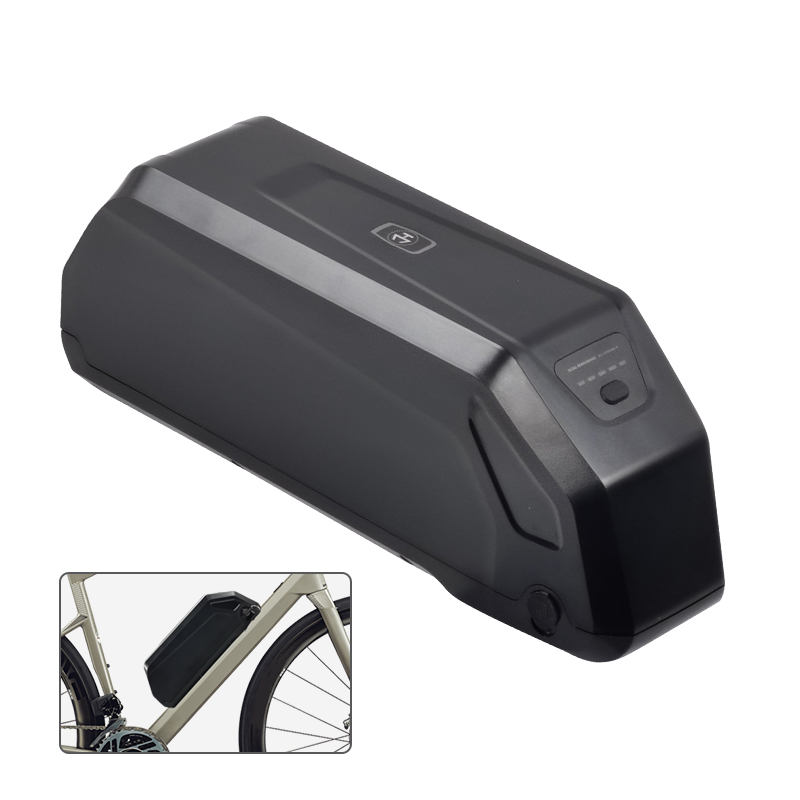 Batteria per Ebike Downtube 52 - Ebike Battery 48V 20Ah Hailong recensione e prezzo