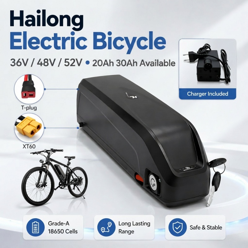 Batteria per E-bike Multi-Misu - Ebike Battery 48V 20Ah Hailong recensione e prezzo